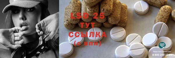 прущие грибы Аркадак