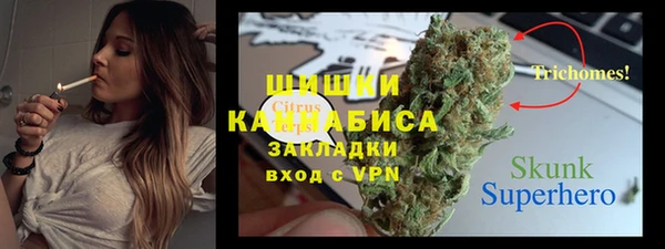 прущие грибы Аркадак