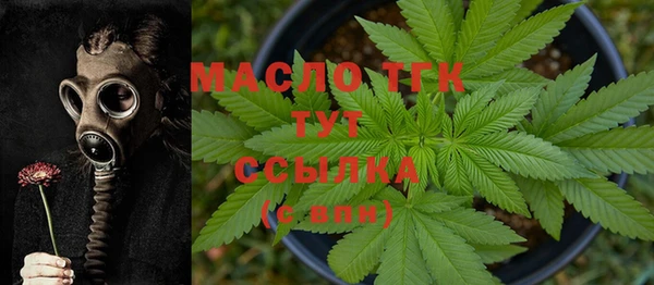 прущие грибы Аркадак