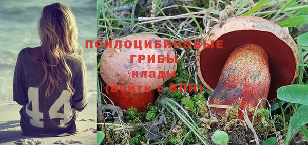 бошки Армянск